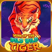 Year Of The Wild Wild Tiger
